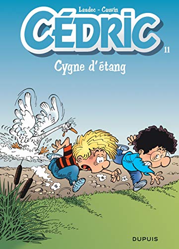 CEDRIC T11 : CYGNE D'ETANG